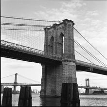 Load image into Gallery viewer, Kodak Professional Tri-X 400 Black and White Negative Film (120)