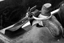Load image into Gallery viewer, Kodak Professional Tri-X 400 Black and White Negative Film (120)