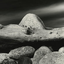 Load image into Gallery viewer, Kodak Professional T-Max 100 Black and White Negative Film (120)