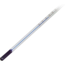 Load image into Gallery viewer, Paterson PTP363 Certified Thermometer 9&quot;
